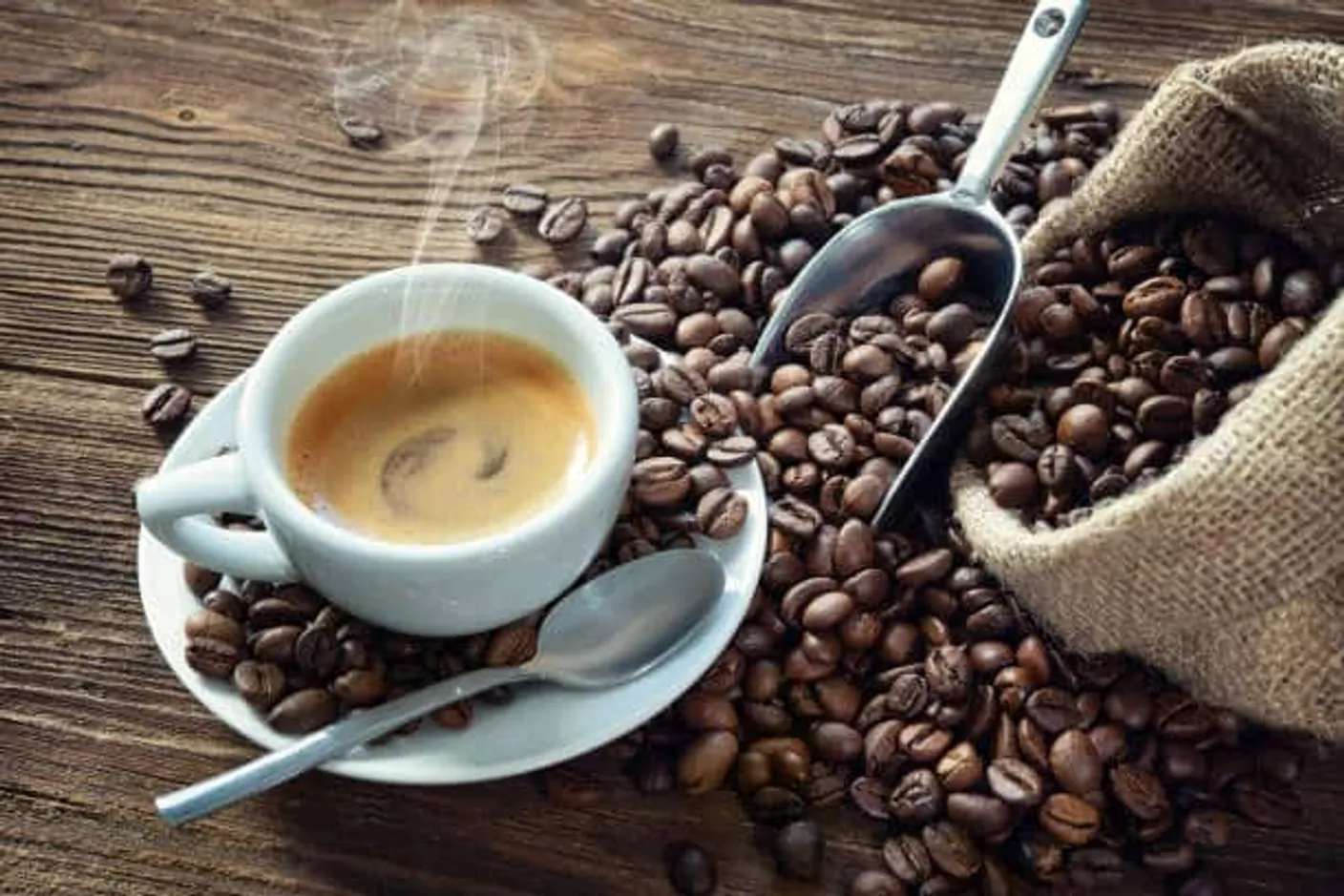 Cucarachas del café: cómo eliminarlas eficazmente