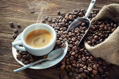 Cucarachas del café: cómo eliminarlas eficazmente