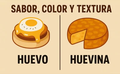 Huevina: qué es, usos y diferencias con el huevo