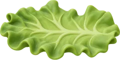 Lechuga