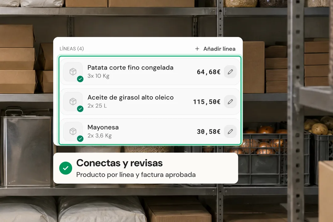 Líneas de una factura vinculadas a las referencias del proveedor para su revisión
